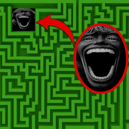 Escape 67 Maze Obby