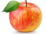 APPEL GROUP (ONLY APPLE ALLOWED)