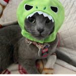Team Trixie The Cat