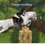 Breeze academy