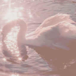 *:･ﾟ✧*:･ﾟ✧