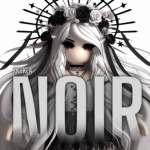 _ .•Noir Clothing
