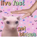 Bingus B)