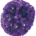 Cheerleader cheerleading