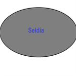 Seldia Moters