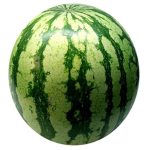 Melon_League