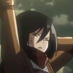Attack on titan (anime fans)