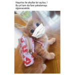 Fe r ah bi r alan