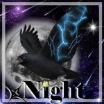 xNight