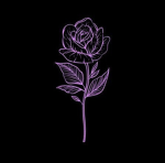 [FORCE] House of Poinsettia