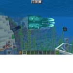 Shiny squid