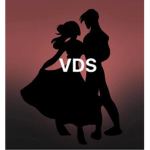 Vibe'z Dance Studio