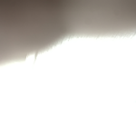 ii_rsgab group