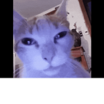 RABAX:3