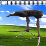 quepatocuacua :D