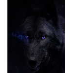 Dark as Night