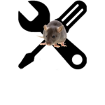 Rat workshop