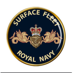 |-| SURFACE FLEET |-|