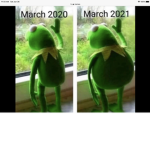 The meme clothing and games group