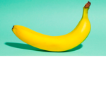 XxBanana.Boat.SunscreenxX >:3