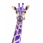 The Purple Giraffe Club!!!