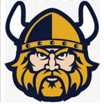 Minesota Vikings