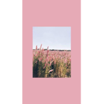 Aecvthetic’s