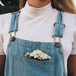 ⋆IDCILY⋆