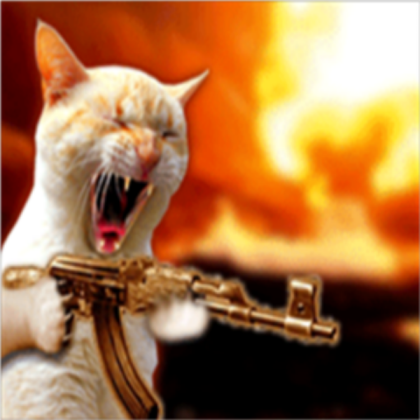 army cat Roblox decal