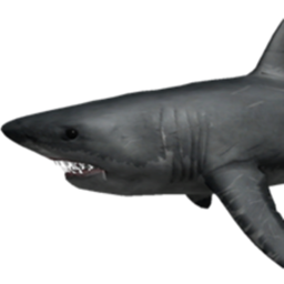 [Past The Moment] Survival The Shark The Killer