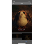 Porg group for people who love porg