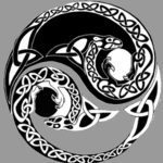 Black Blossoms:White Blossoms