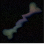 .Bones Association