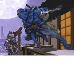 Blue Ninjas Order House