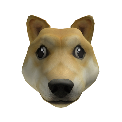 DOGE thumbnail