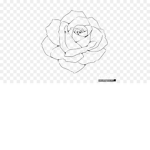 H tbht htht