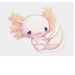 Pink axolotl group