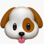 AIDENS DOGS UNITED
