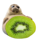 Seal Lovers Association