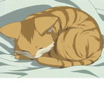 Kittens members