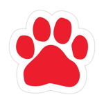 EYEE l STUDIO!