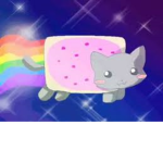 Creative Nyan Cat Fan Group