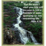 christian bible group!!!