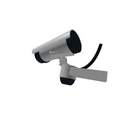 Working Security Camera