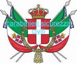 allenamenti carabinieri sicurezza civili