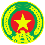 POVS | PEOPLE OF VIETNAM SOLIDERS
