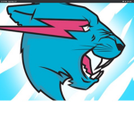 Mr beast sqaud