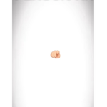 Uuuui