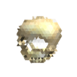 MSK_mystery skull