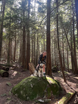 Dog lovers community